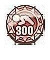 300 комбо.jpg